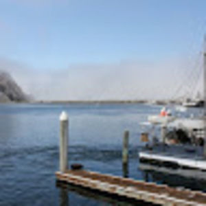 Meet your Posher, Well